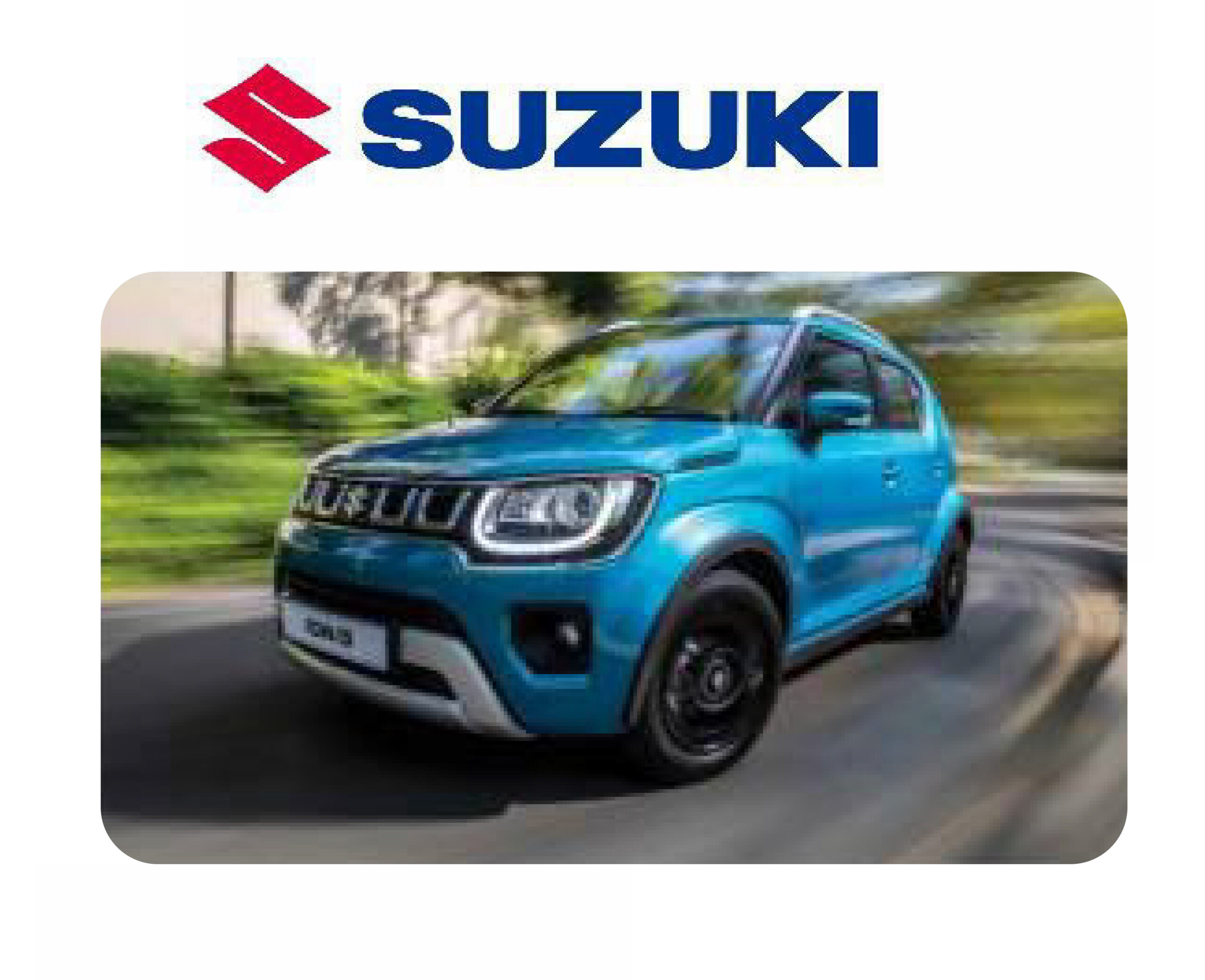 SUZUKI CAMPAIGN